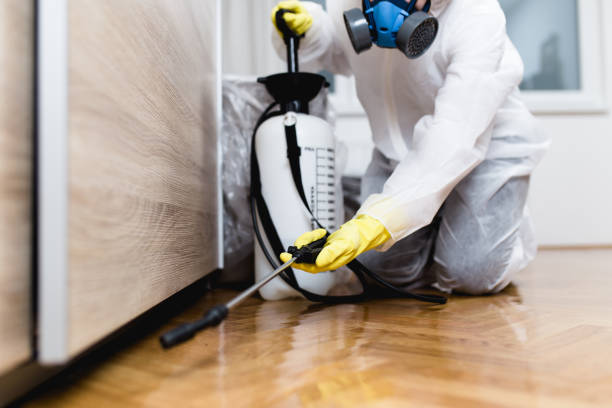 Best Emergency Pest Control  in West Concord, MA