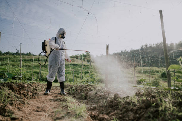 Best Commercial Pest Control Services  in West Concord, MA