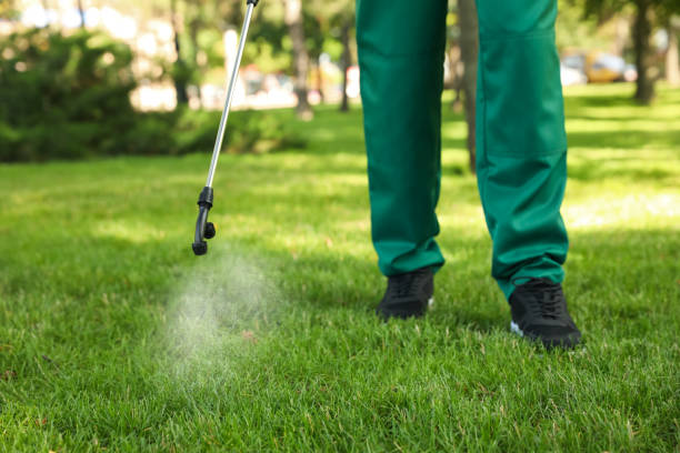 Best Bed Bug Extermination  in West Concord, MA