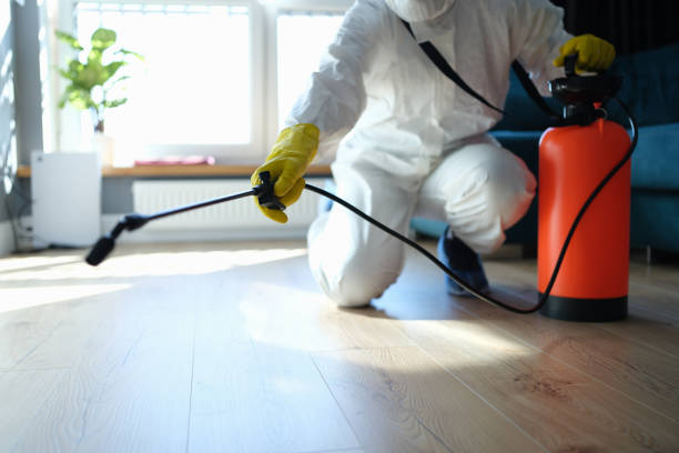 Reliable West Concord, MA Pest Control Solutions